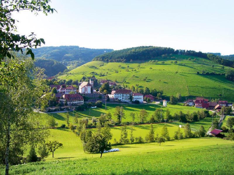 Gasthaus Zum Wilden Mann Welschensteinach 外观 照片